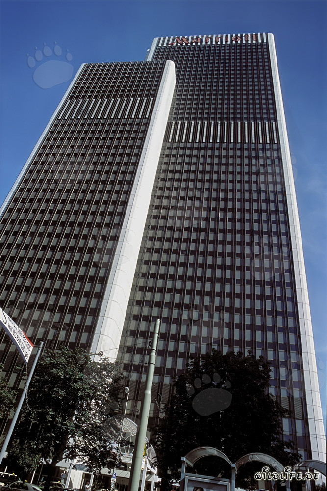 Architectural Design of the Frankfurt Marriott Hotel in Frankfurt am Main