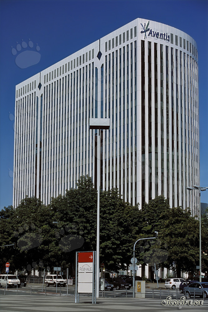 Architektur des Aventis Frankfurt Gebäudes in Frankfurt am Main, Hessen, Deutschland