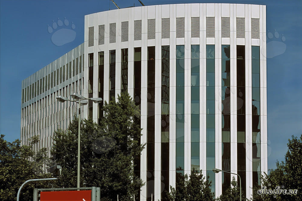 Moderne Architektur im Aventis Frankfurt - beeindruckendes Gebäude in der Mainmetropole