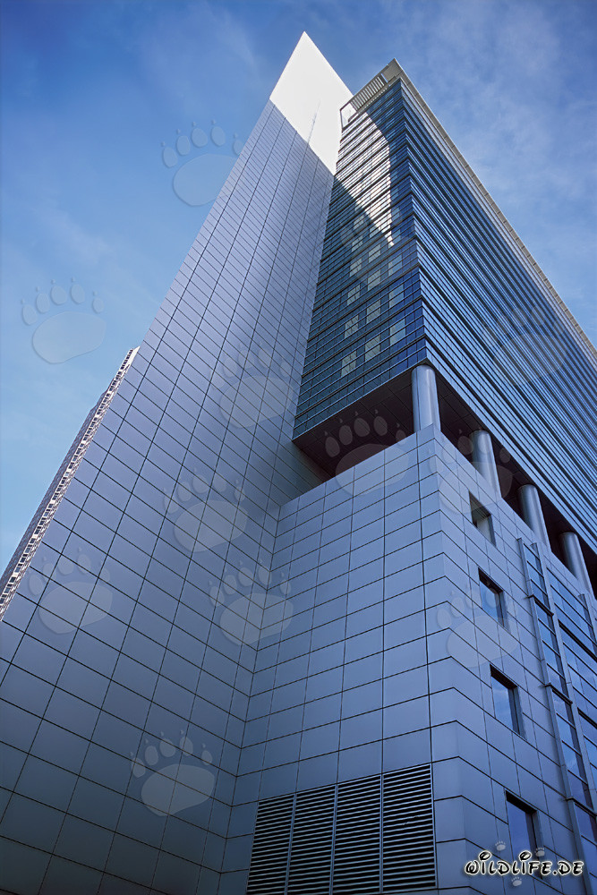 Elegant Pollux: Majestic Skyscraper in Frankfurt am Main