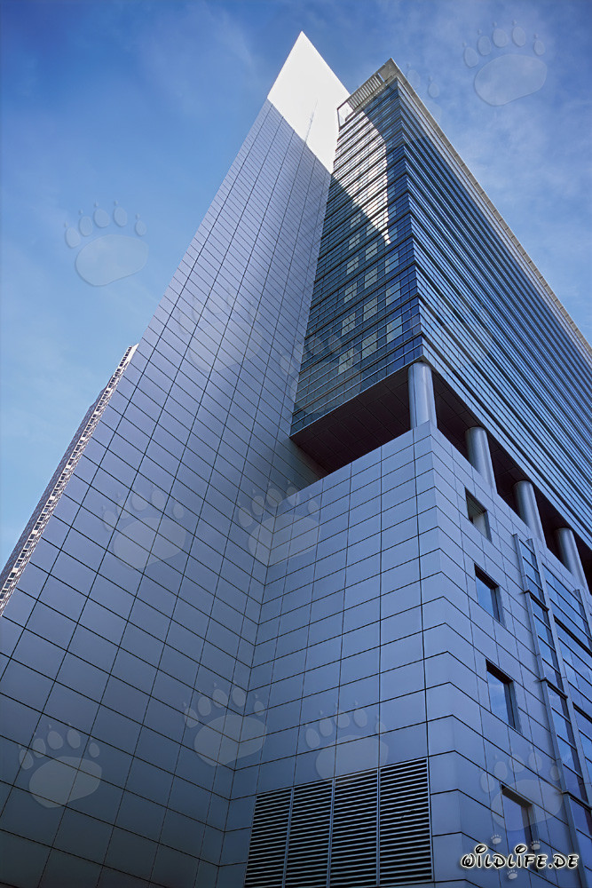 Eleganter Pollux: Majestätischer Wolkenkratzer in Frankfurt am Main