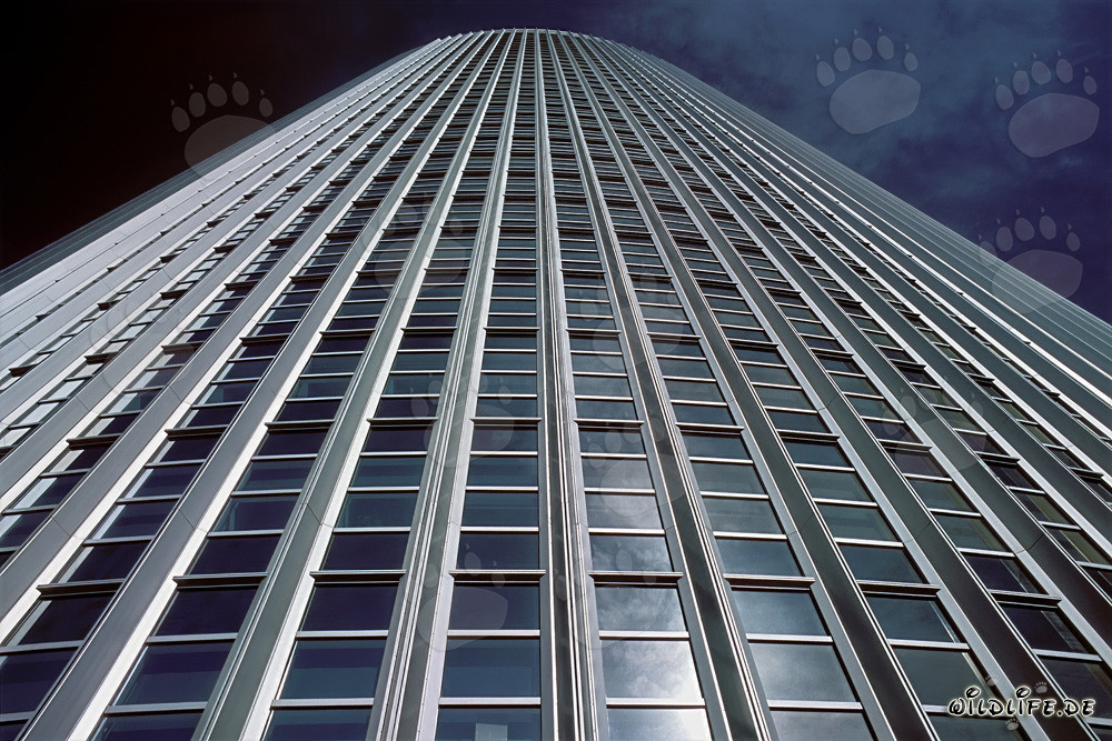 Faszinierende Architektur: Die Zwillingstürme Kastor und Pollux in Frankfurt am Main