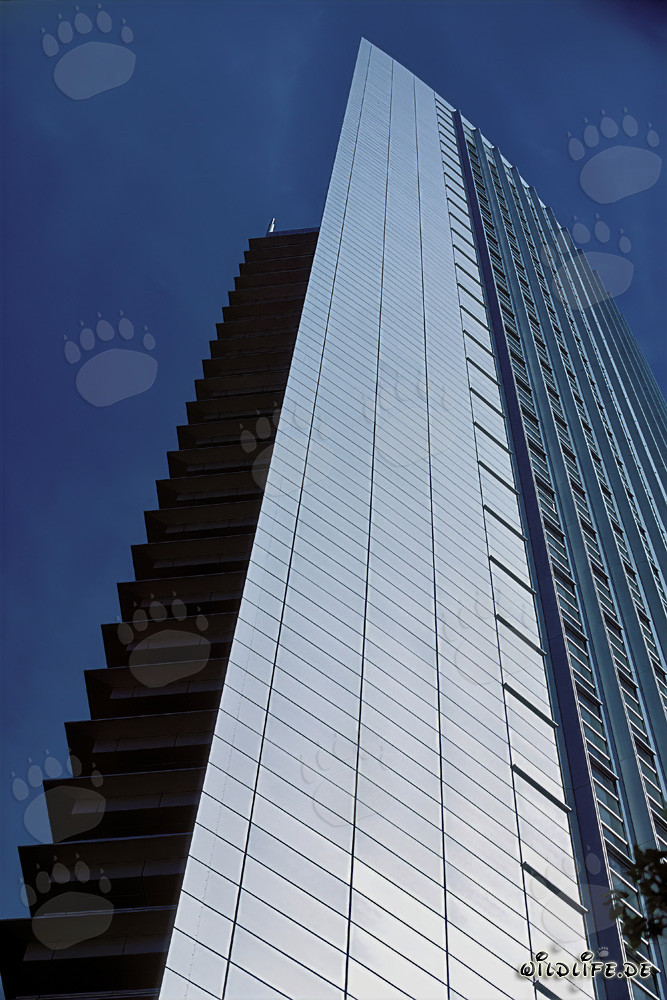Faszinierendes Hochhaus Pollux in Frankfurt am Main