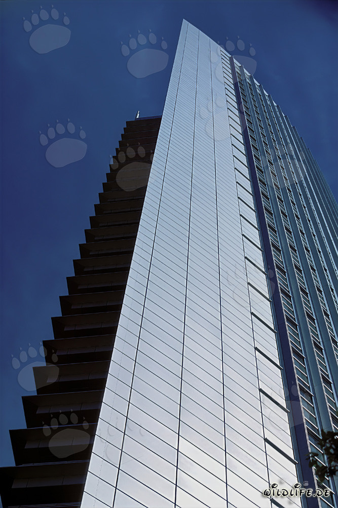 Fascinante rascacielos Pollux en Frankfurt am Main
