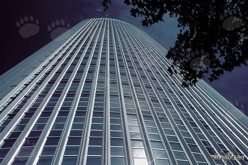 Elegant modern office building Pollux in Frankfurt am Main at sunset