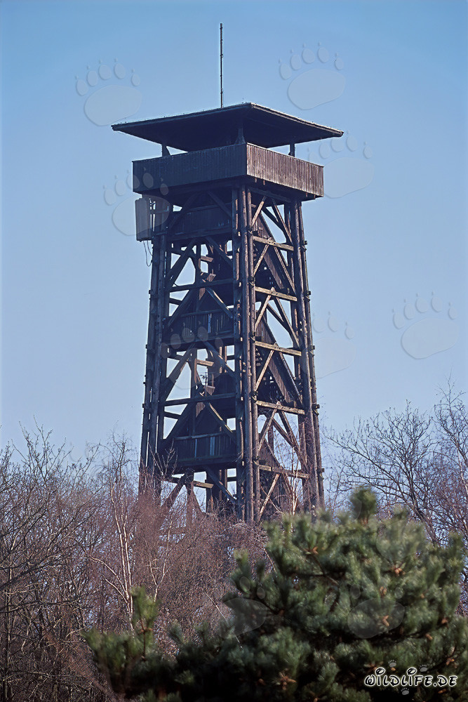 Vista sull'imponente Goetheturm a Francoforte sul Meno