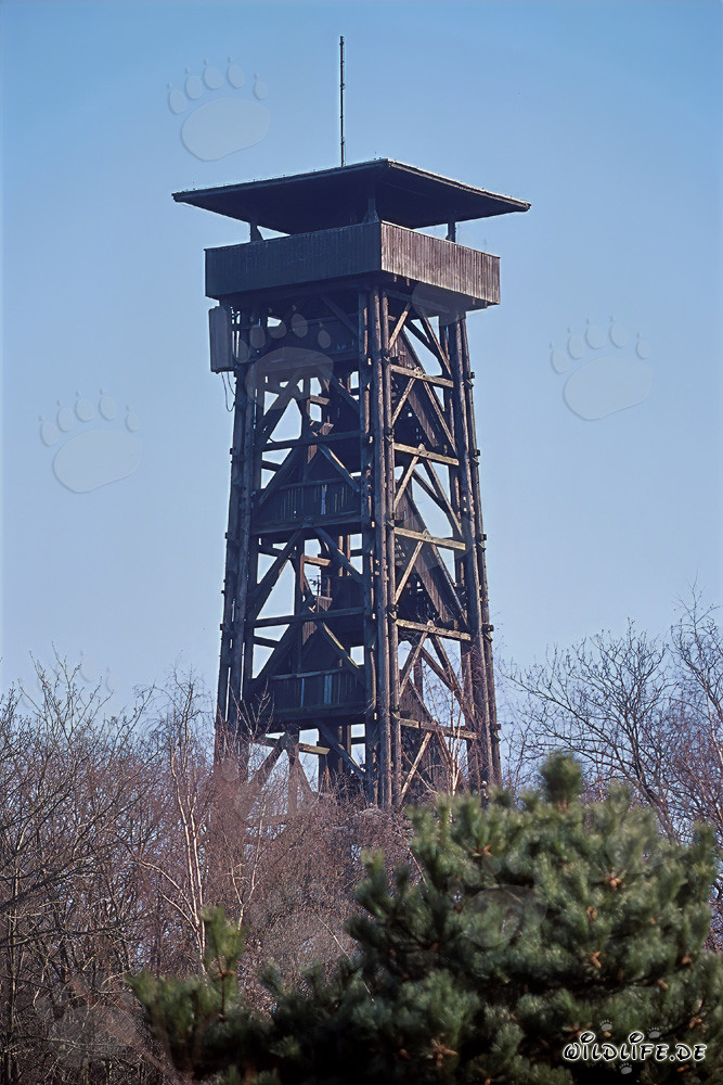 Blick auf den imposanten Goetheturm in Frankfurt am Main