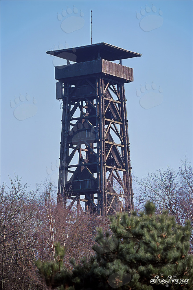 View of the impressive Goetheturm in Frankfurt am Main