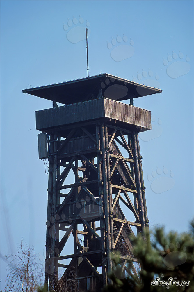 Tour d'observation Goetheturm à Francfort-sur-le-Main