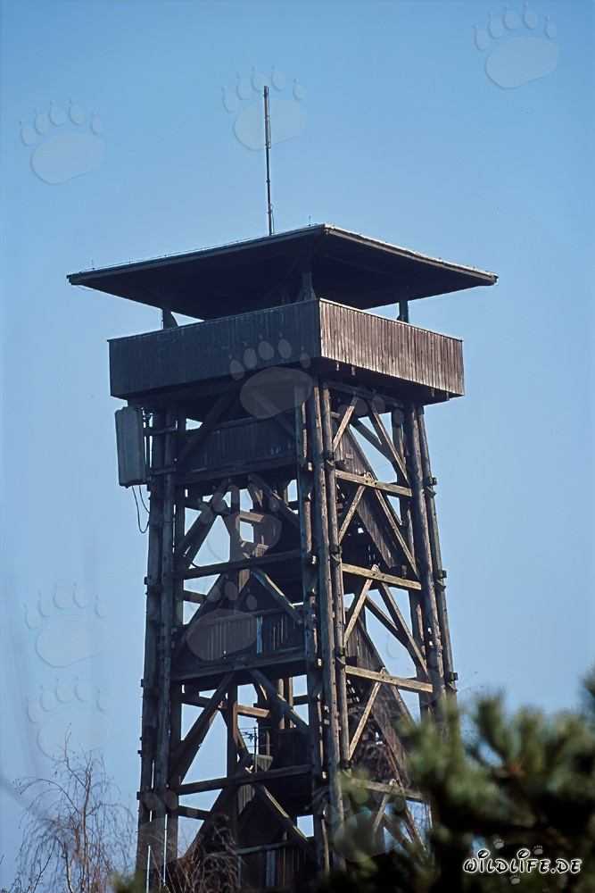 Torre panoramica Goetheturm a Francoforte sul Meno