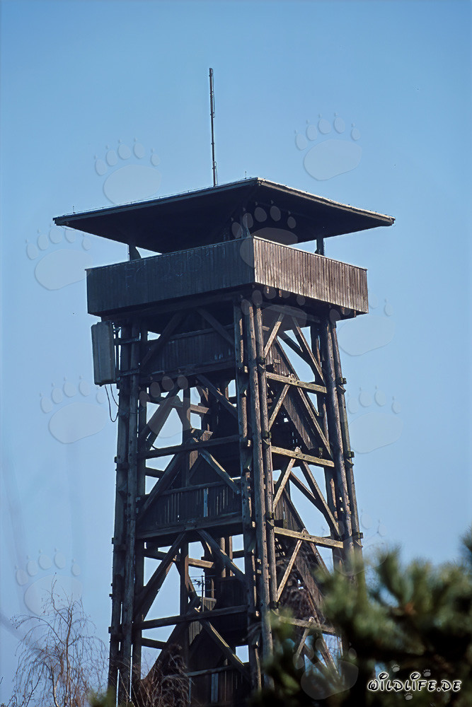 Aussichtsturm Goetheturm in Frankfurt am Main