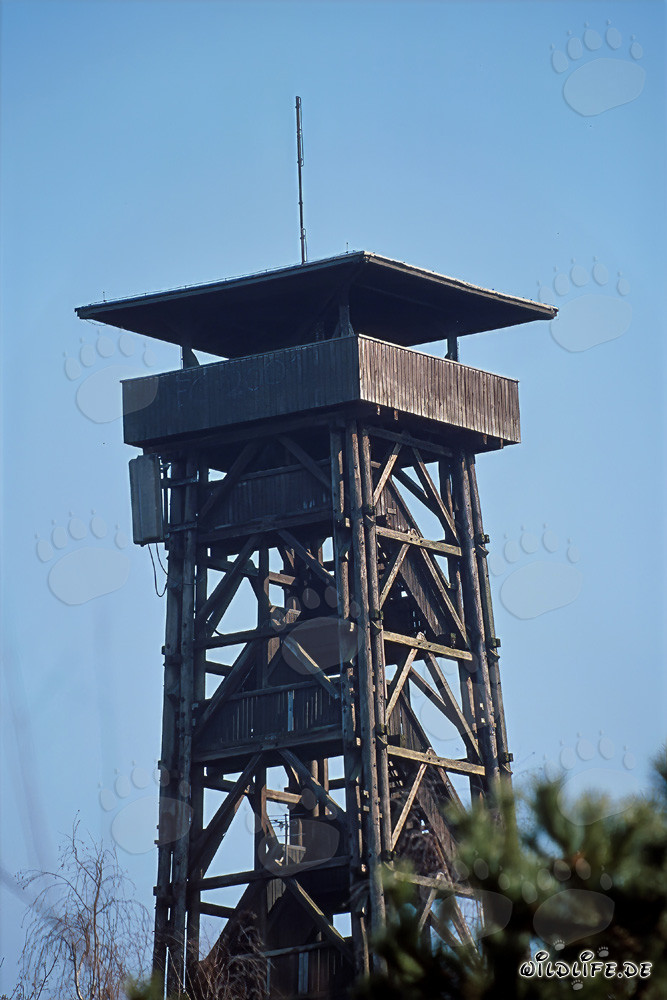 Torre de observación Goetheturm en Frankfurt am Main