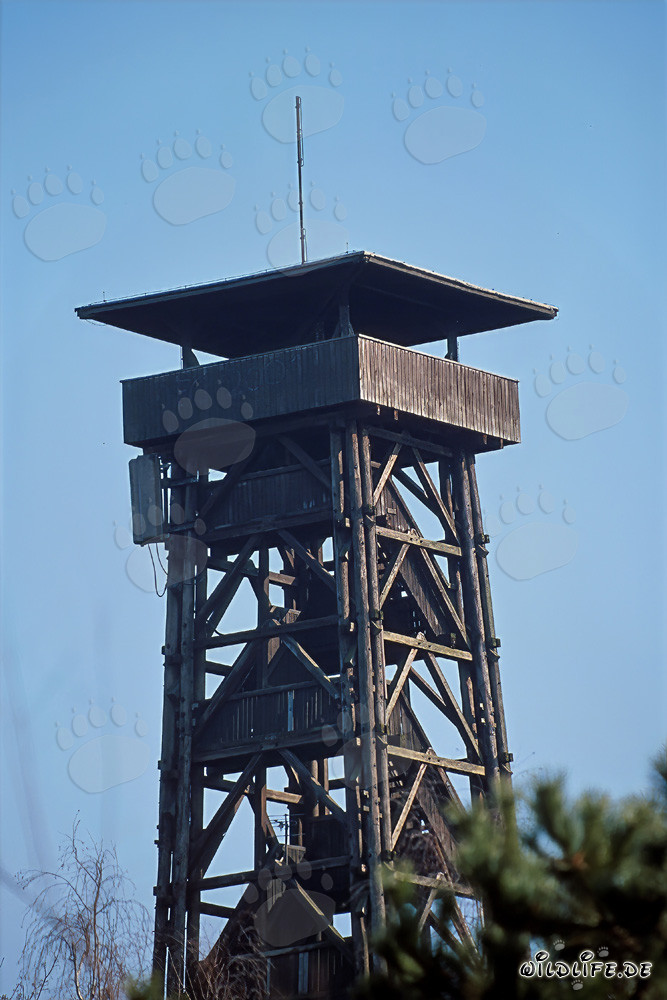 Viewing Tower Goetheturm in Frankfurt am Main