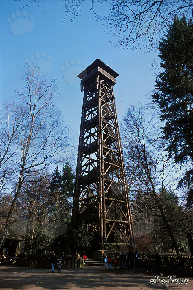 Majestätischer Goetheturm in Frankfurt am Main