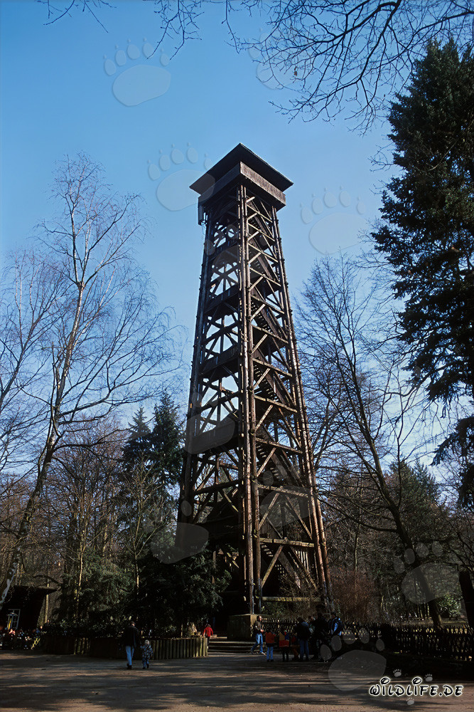 Majestic Goetheturm in Frankfurt am Main