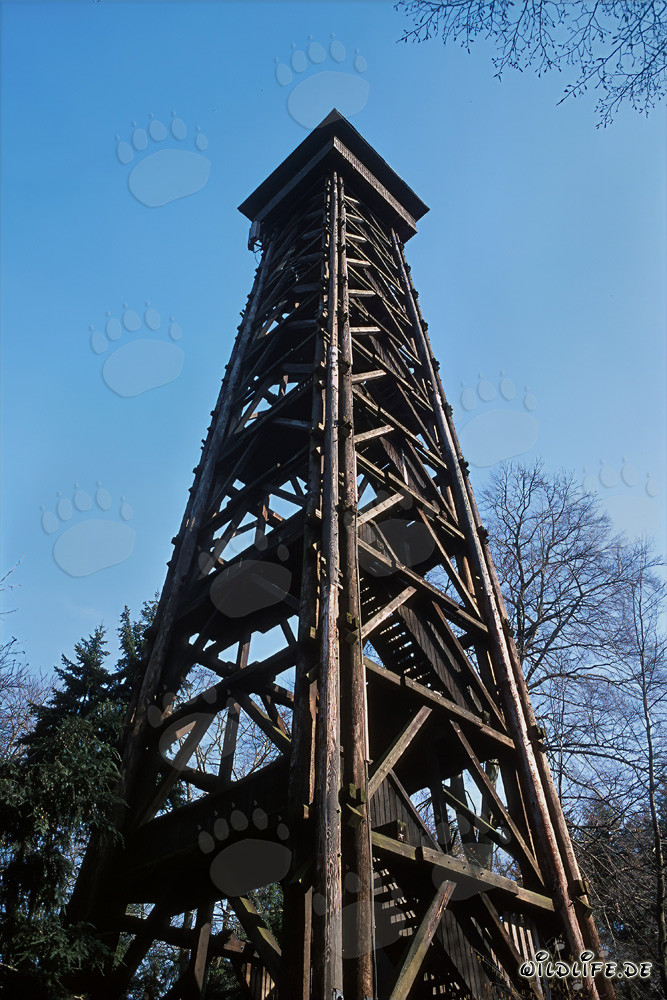 Vista dalla torre Goethe su Francoforte - Meta turistica popolare a Sachsenhausen