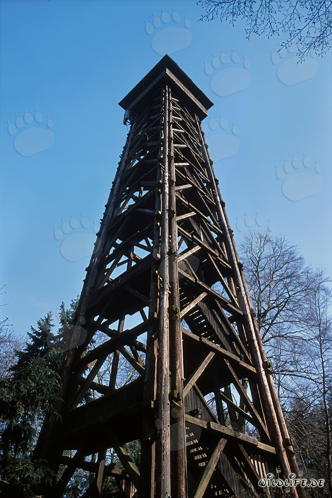 Blick vom Goetheturm über Frankfurt - Beliebtes Ausflugsziel in Sachsenhausen