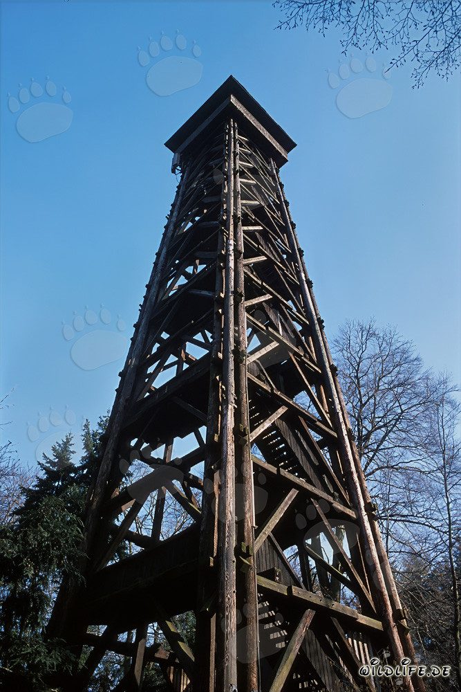View from the Goetheturm over Frankfurt - Popular destination in Sachsenhausen