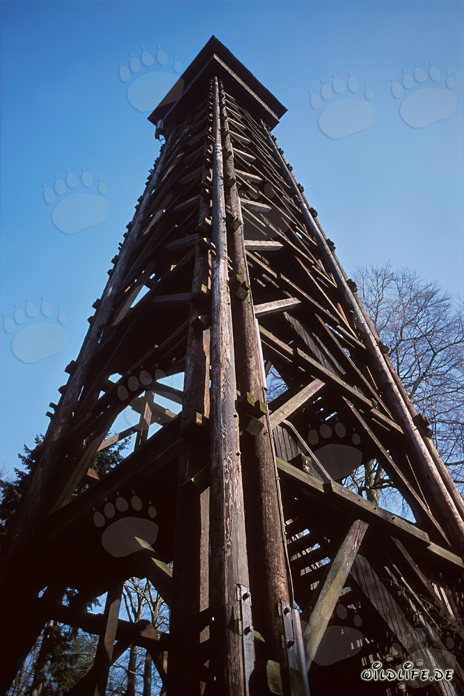 Goetheturm à Francfort-sur-le-Main au coucher du soleil