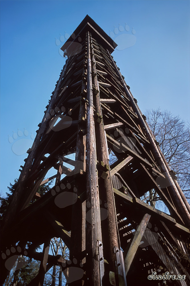 Torre Goetheturm a Francoforte sul Meno al tramonto