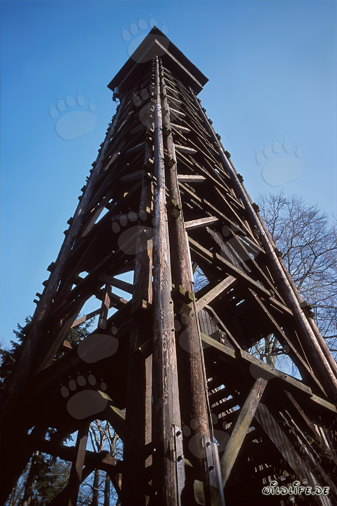 Torre Goetheturm en Frankfurt am Main al atardecer