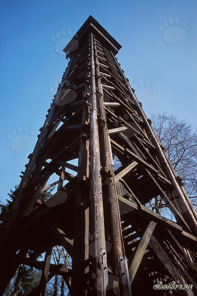 Goetheturm in Frankfurt am Main bei Sonnenuntergang