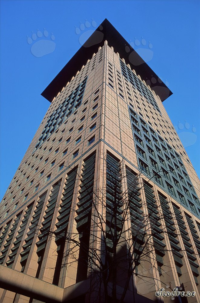 Faszinierendes Japan-Center in Frankfurt am Main