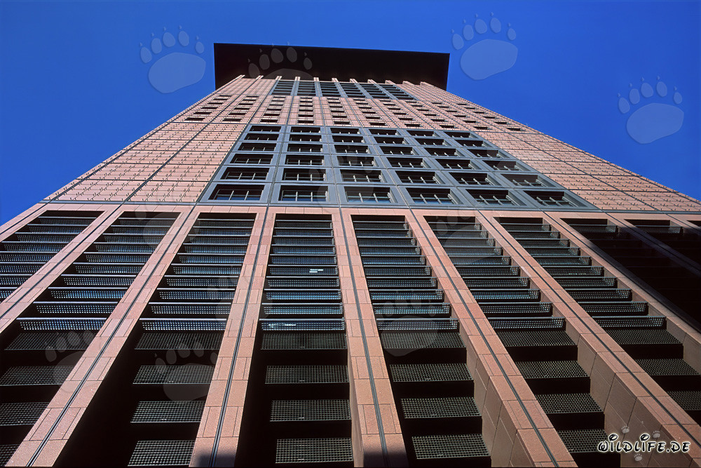 Centro giapponese futuristico a Francoforte: un capolavoro architettonico