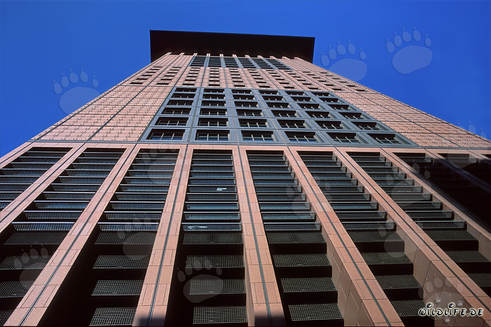 Futuristisches Japan-Center in Frankfurt: Ein architektonisches Meisterwerk