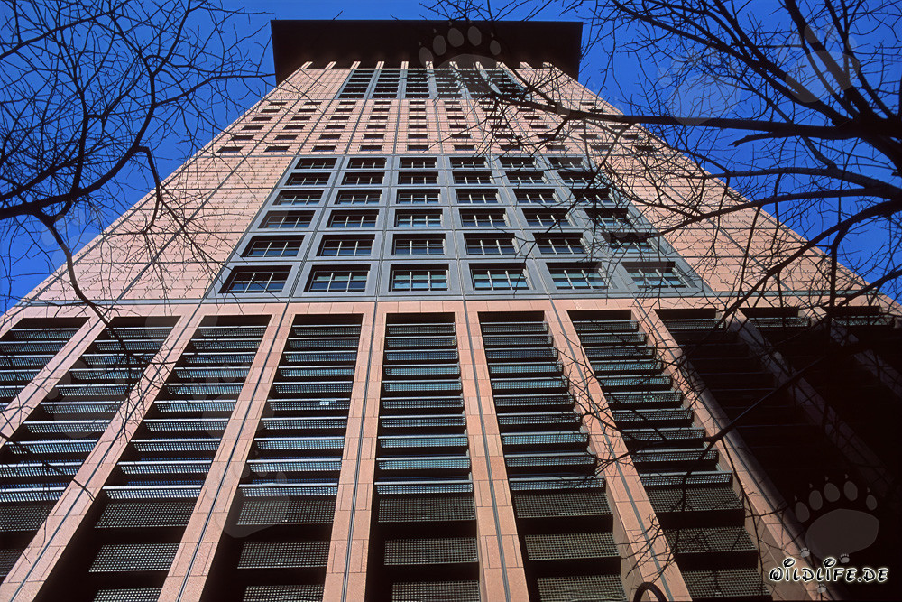 Japan-Center Skyscraper in Frankfurt with Far Eastern Style