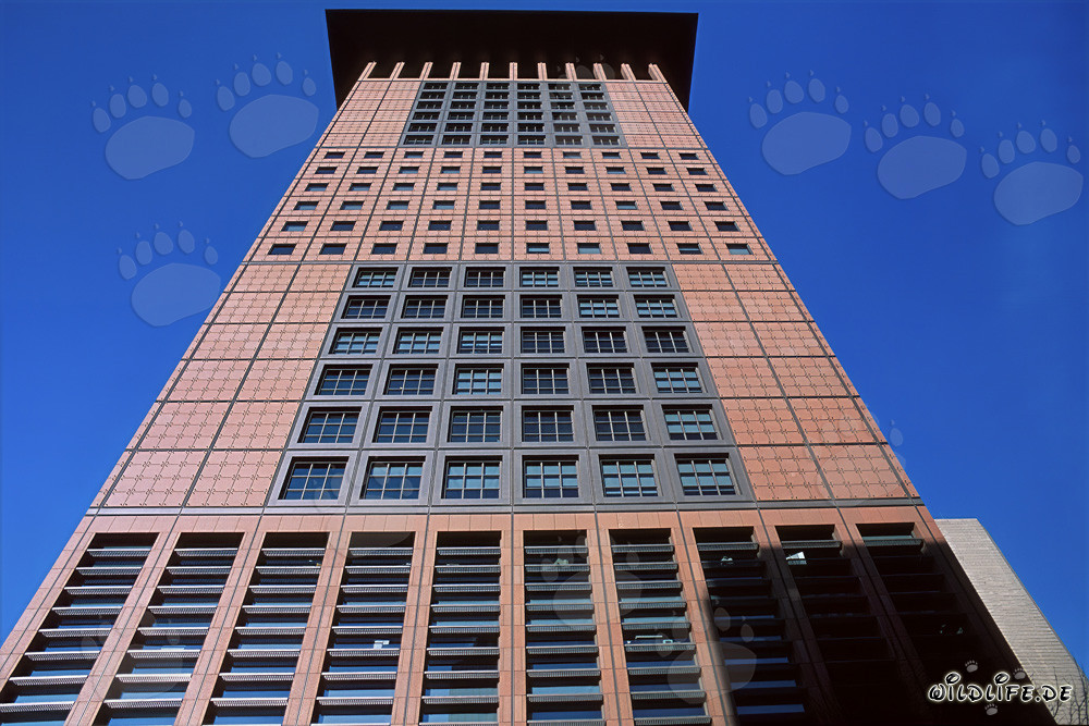 Futuristic Japan-Center Skyscraper in Frankfurt with Far Eastern Flair