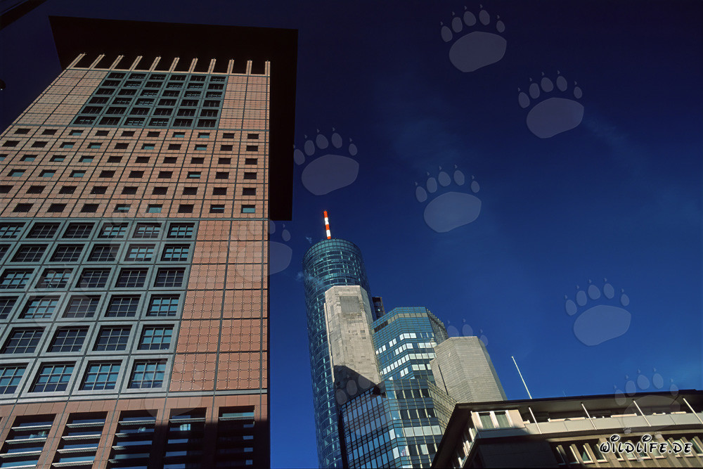 Fascinating Japan-Center in Frankfurt: An Architectural Masterpiece