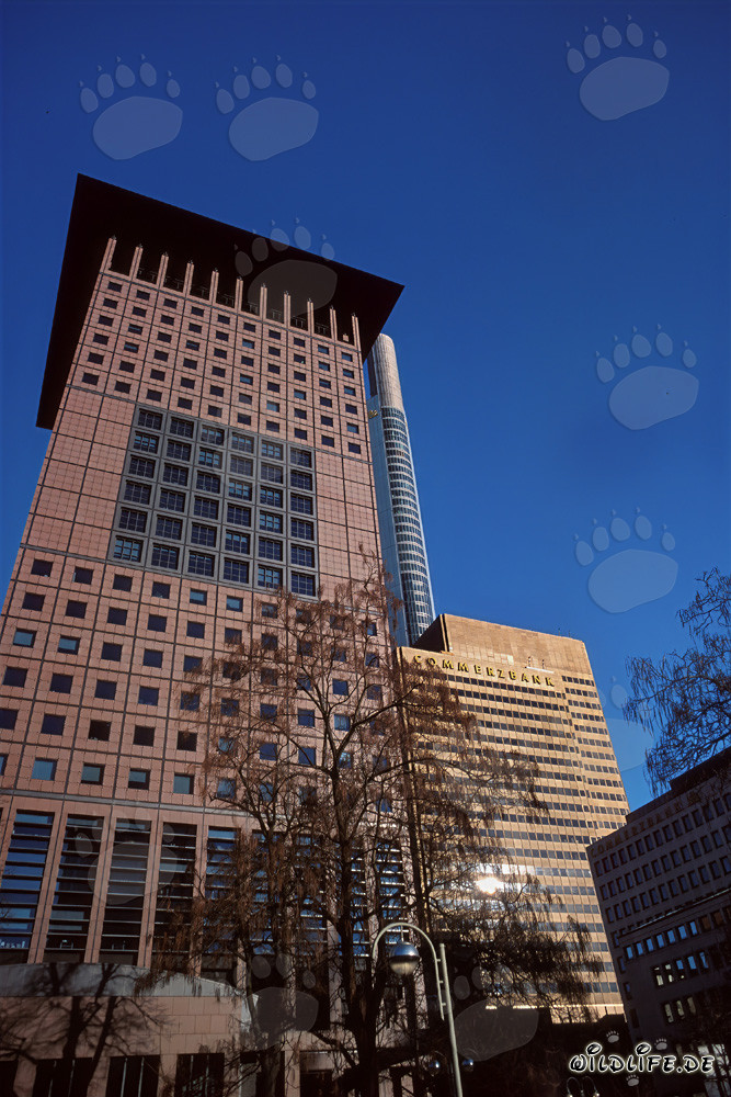 Architecture of the Japan Center in Frankfurt am Main