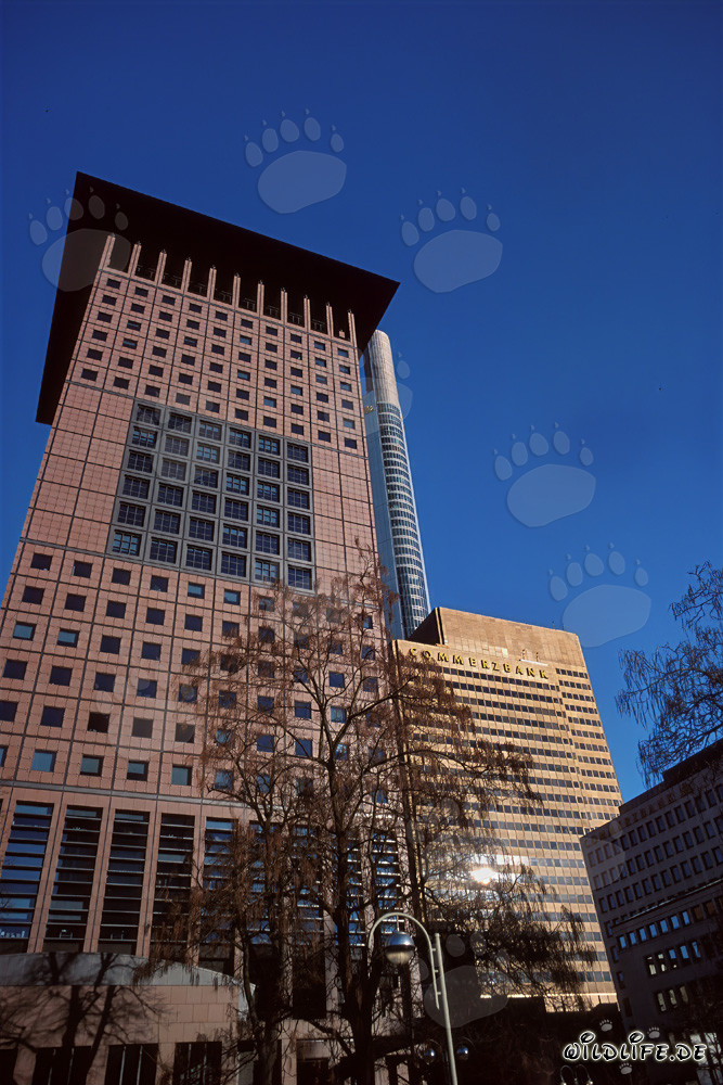 Architektur des Japan-Centers in Frankfurt am Main