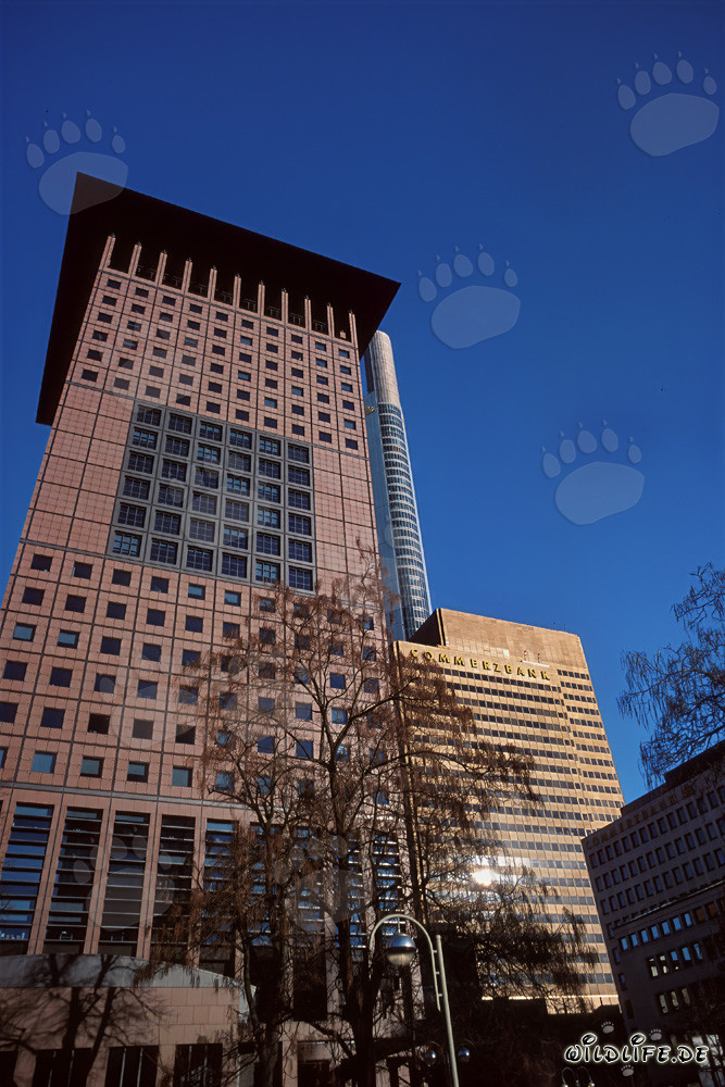 Architettura del Japan-Center a Francoforte sul Meno