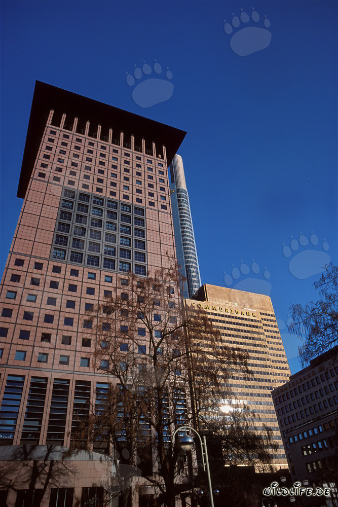 Arquitectura del Japan-Center en Frankfurt am Main