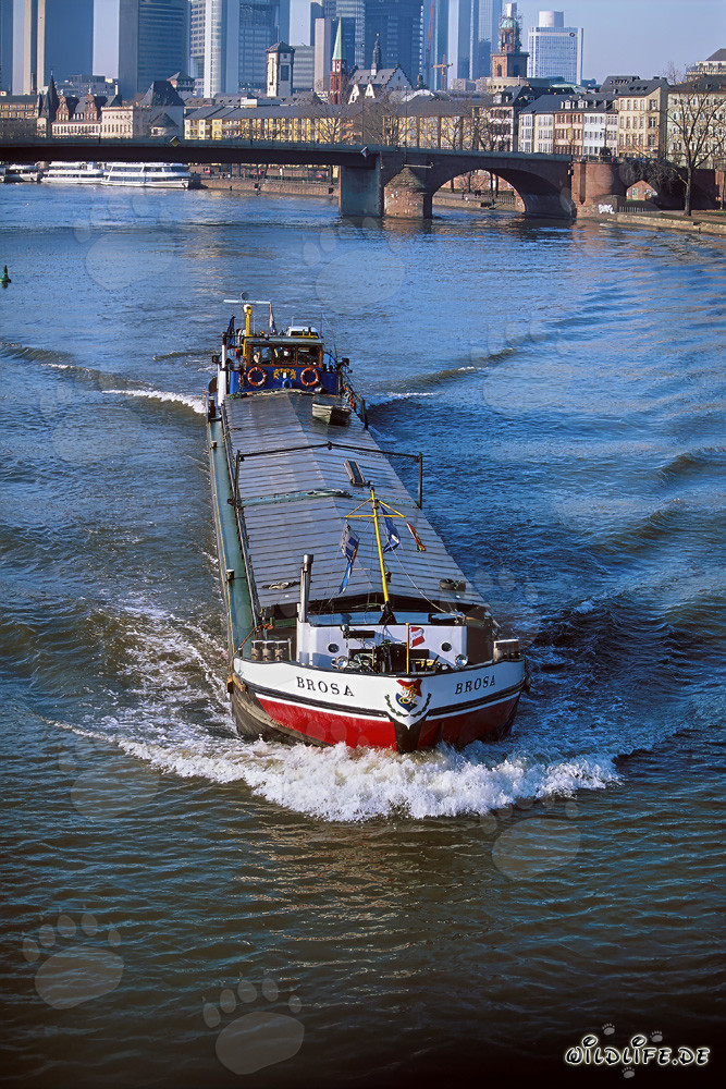 Péniche fluviale devant l'imposante skyline de Francfort-sur-le-Main