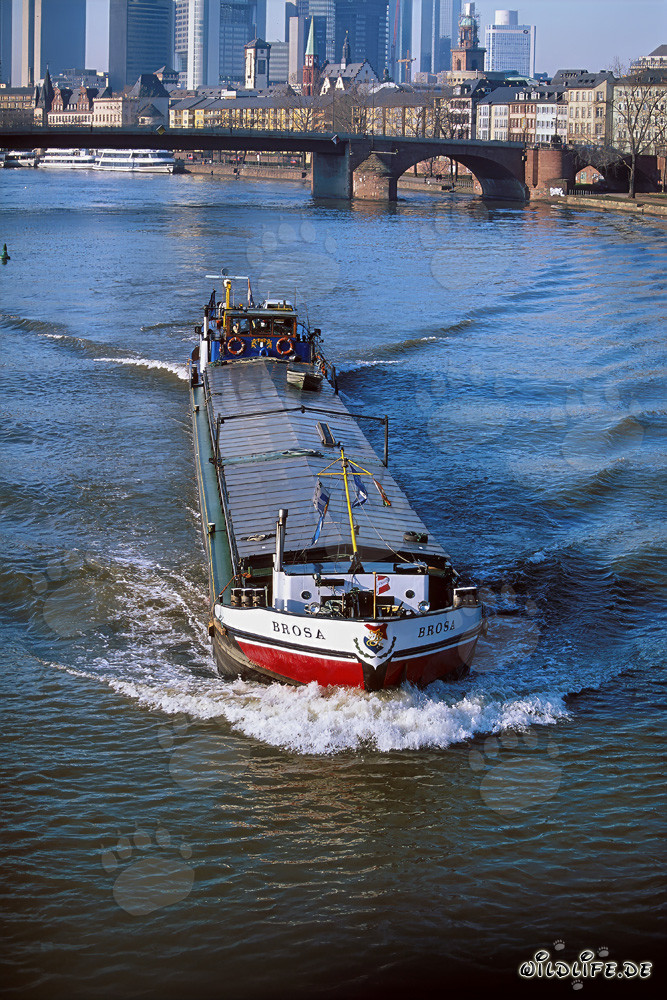 River freighter in front of impressive skyline of Frankfurt am Main