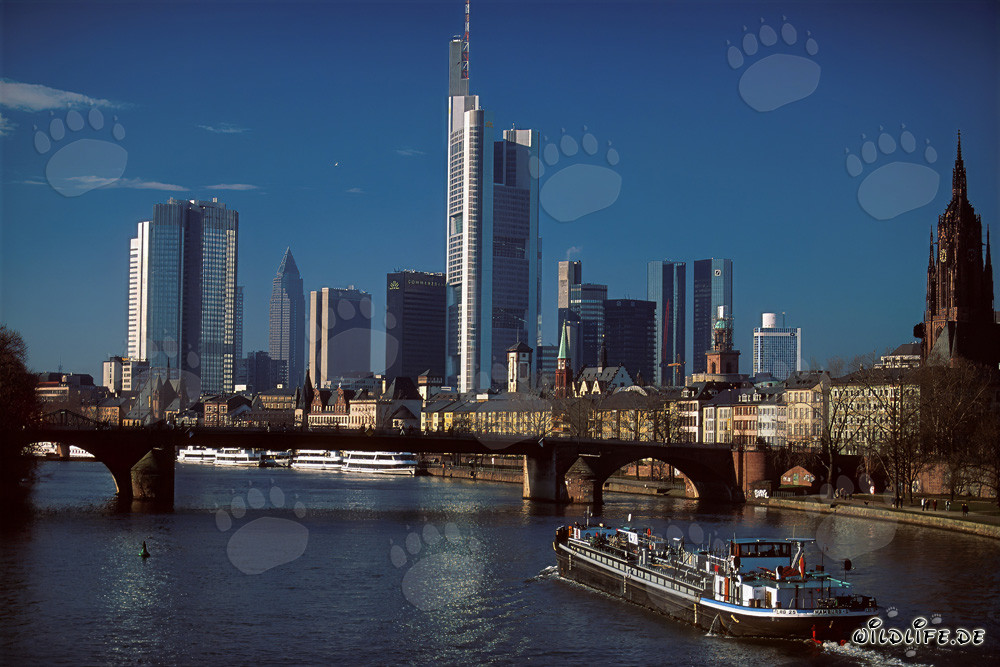 Impressionnante skyline de Francfort-sur-le-Main