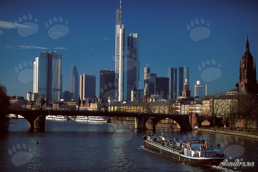 Imponente skyline di Francoforte sul Meno