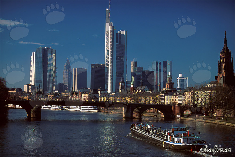 Impressive Skyline of Frankfurt am Main