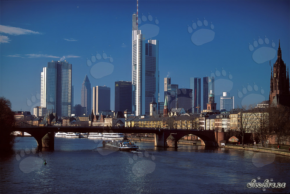 Frankfurts imposante Skyline bei Sonnenuntergang