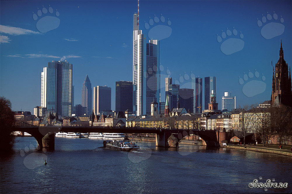 Frankfurt's impressive skyline at sunset