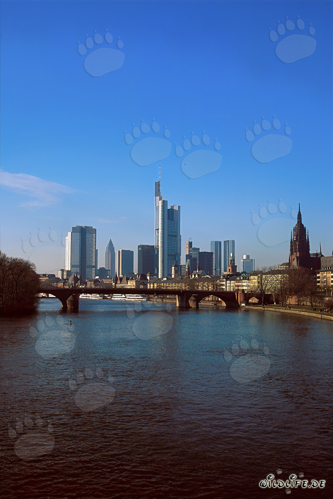 Frankfurt's impressive skyline with the Millenium Tower as a landmark