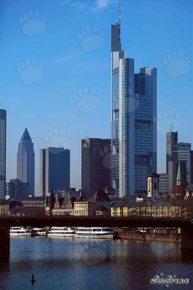 La impresionante skyline de Frankfurt al atardecer