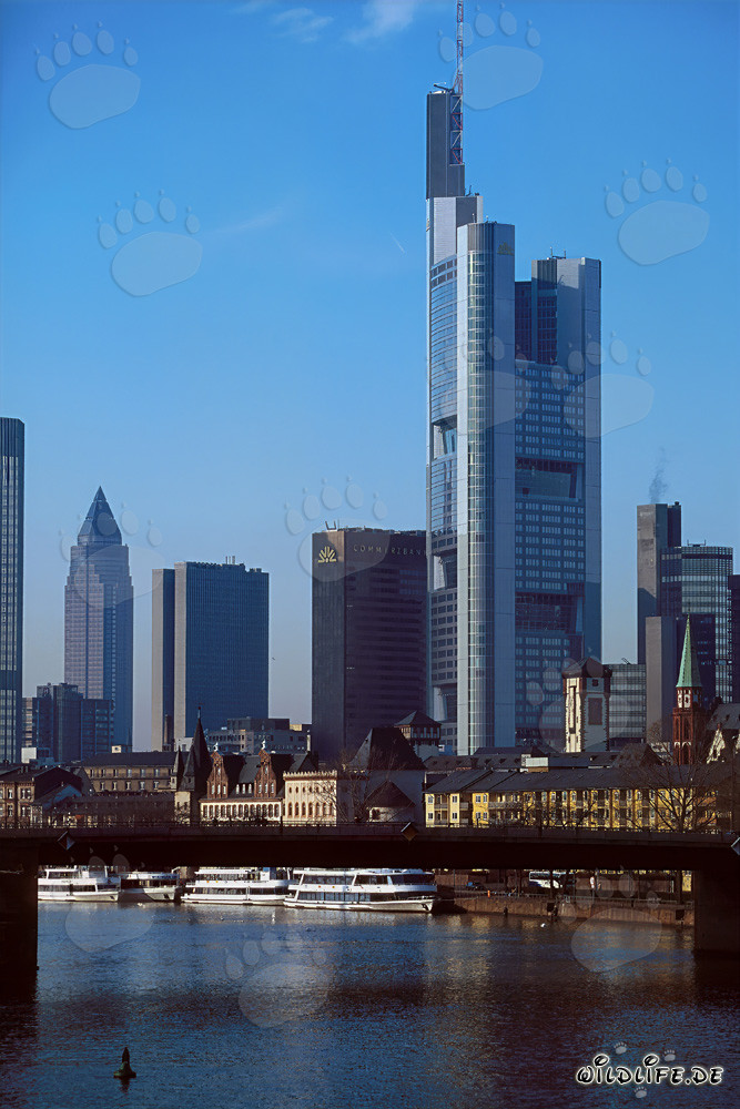 Frankfurts beeindruckende Skyline bei Sonnenuntergang