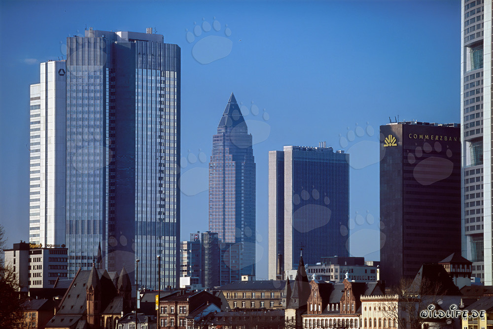 Frankfurts imposante Skyline bei Sonnenuntergang