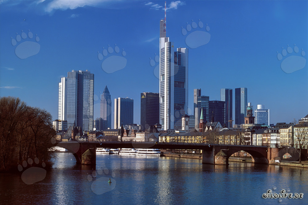La magnifique skyline de Francfort-sur-le-Main