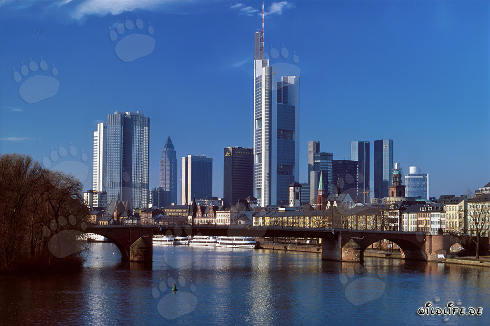 L'imponente skyline di Francoforte sul Meno