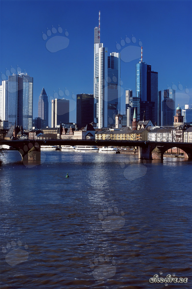 Imponente skyline di Francoforte con l'imponente Millennium Tower